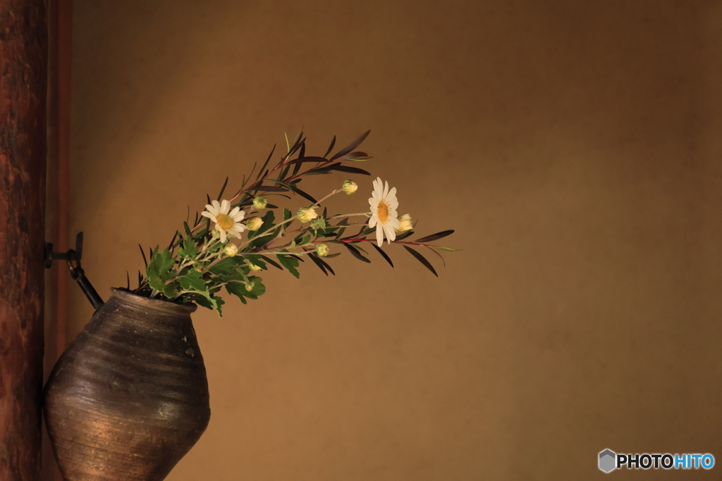 2025四国一人旅4-29