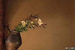 2025四国一人旅4-29