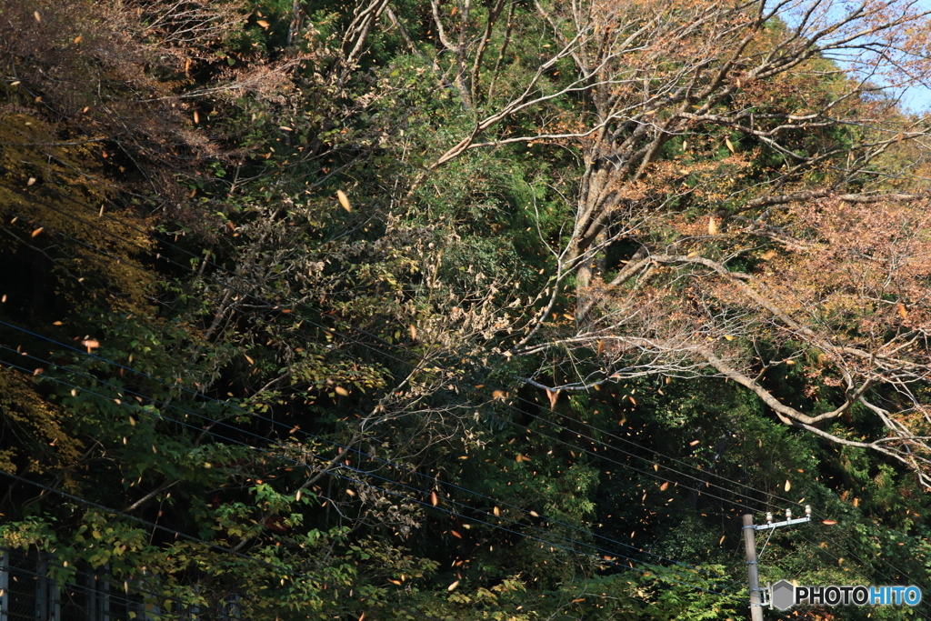 2025四国一人旅2-13