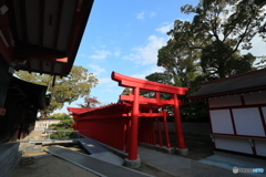 2025四国一人旅5-33