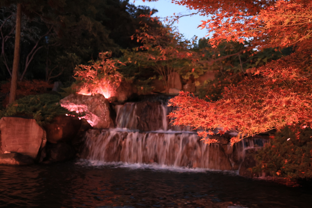離宮公園ライトアップ5