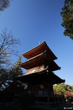 初冬の太山寺2