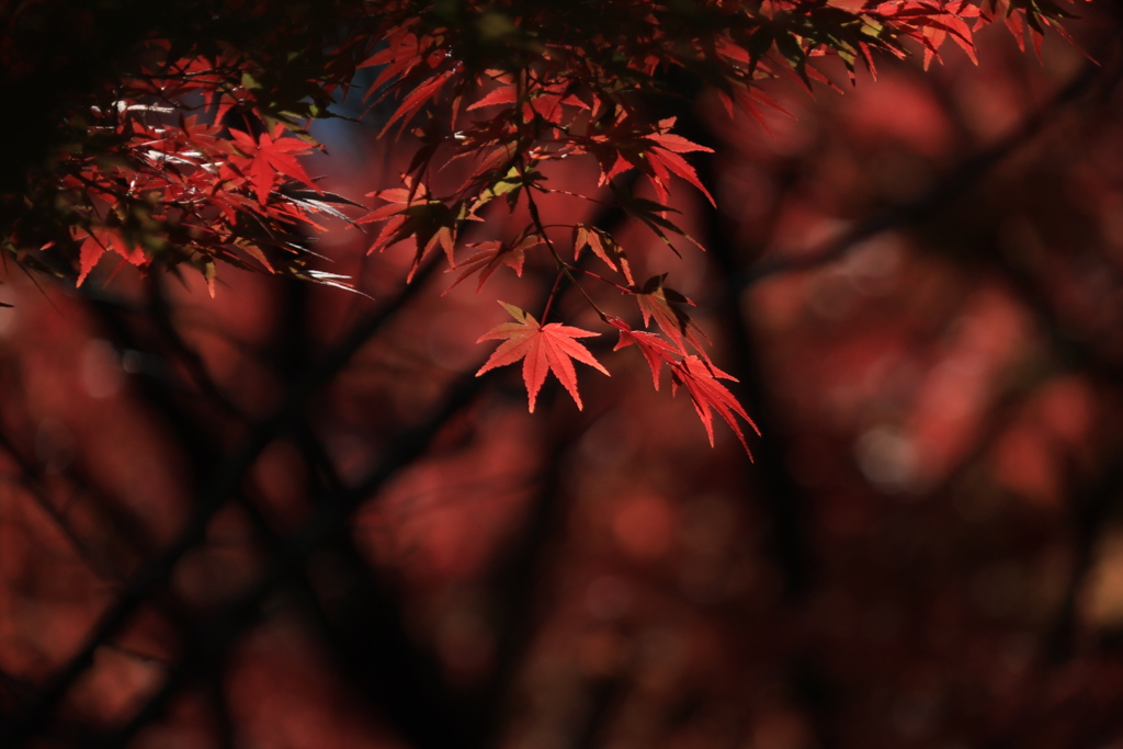 2025四国一人旅5-14