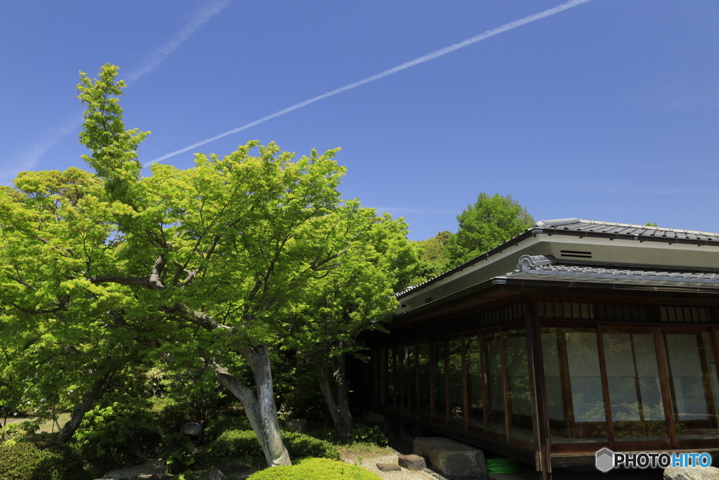 ひこうき雲