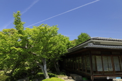 ひこうき雲