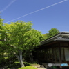 ひこうき雲