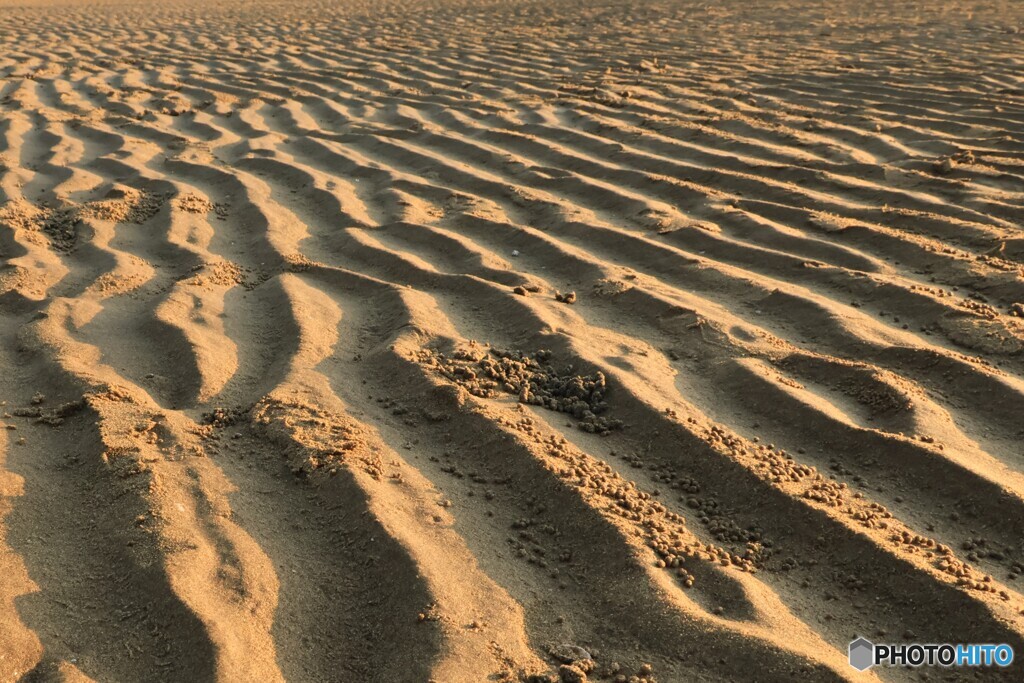 2025四国一人旅17