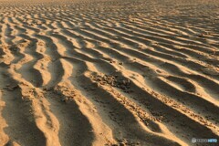 2025四国一人旅17