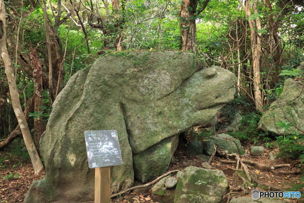 2025四国一人旅3-14