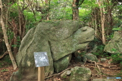 2025四国一人旅3-14