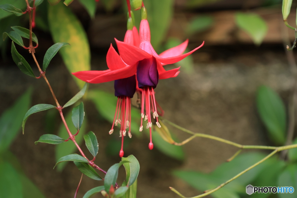 2025四国一人旅4-27