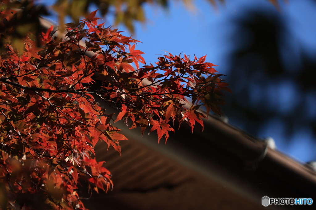 2025四国一人旅4-8