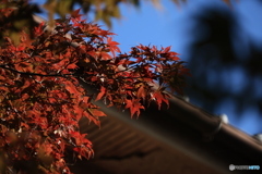 2025四国一人旅4-8