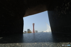 ミニチュア