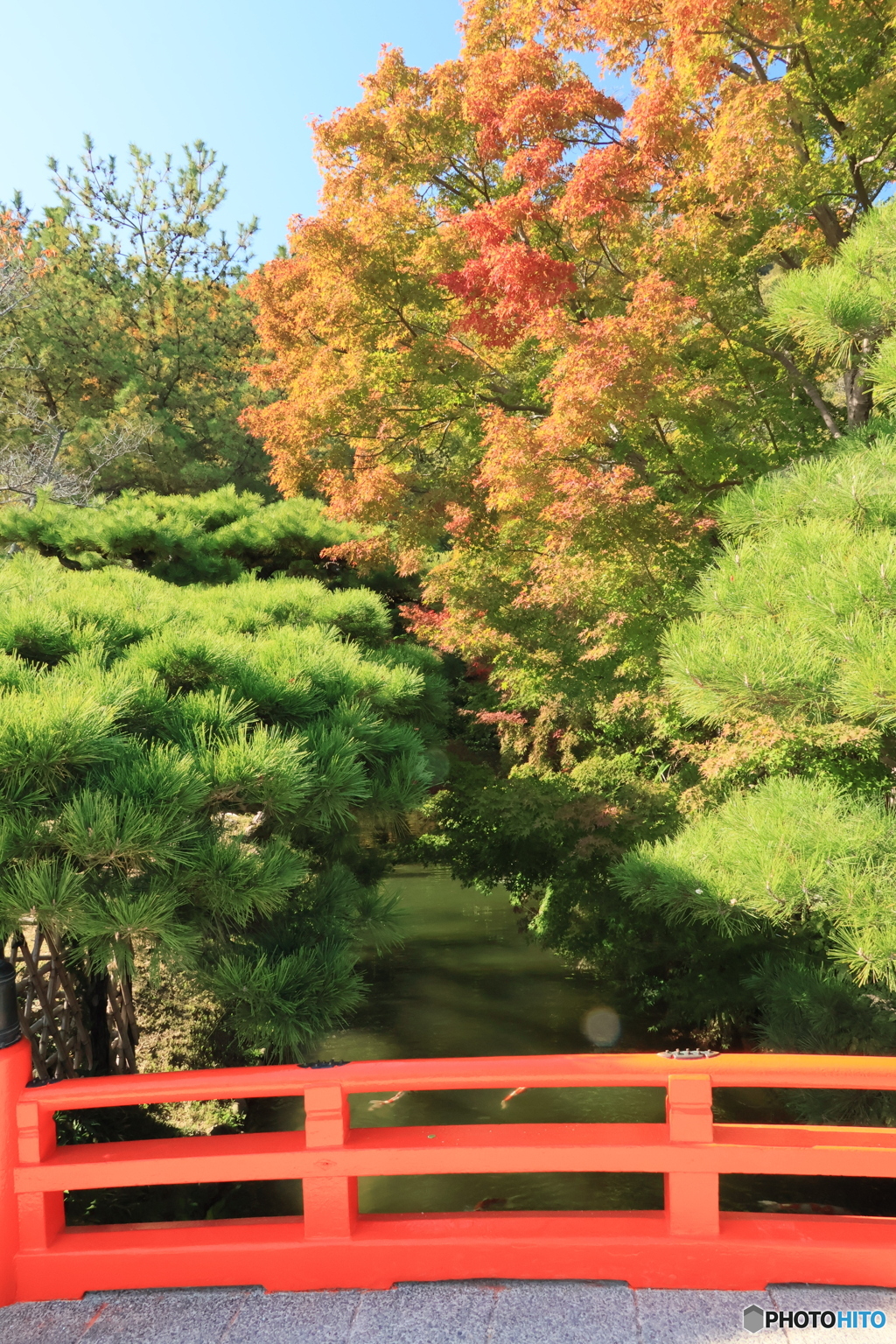 2025四国一人旅7