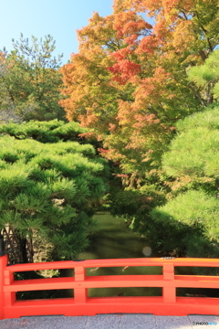 2025四国一人旅7