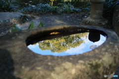 2025四国一人旅4-3