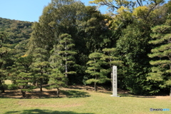 2025四国一人旅6