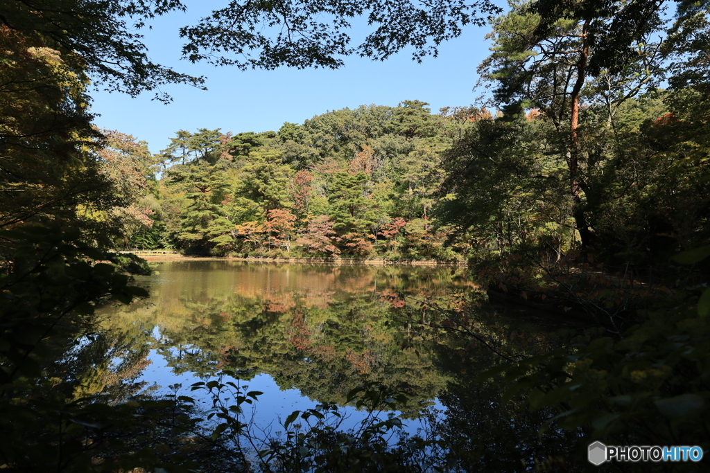 森からの便り21