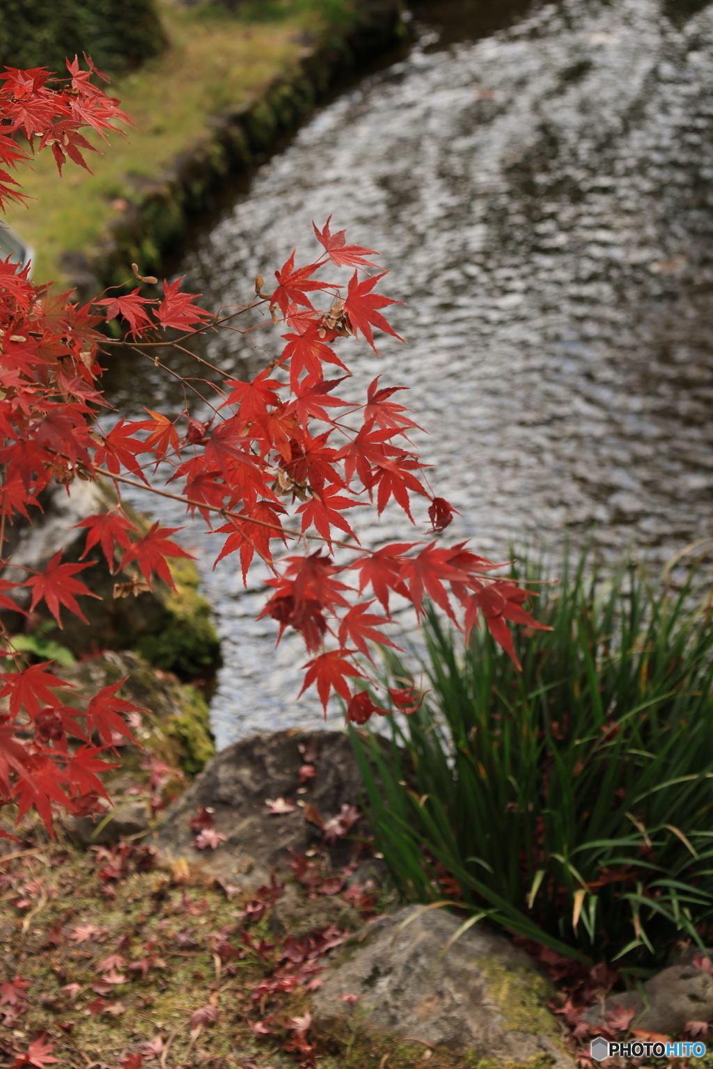 晩秋の好古園26