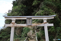 2025四国一人旅3-16