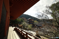 初冬の太山寺13