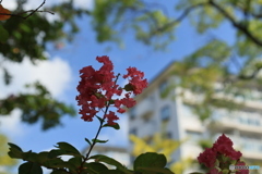 背伸びして