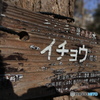試しに