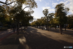 夕刻の総合運動公園