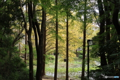 離宮公園の池面から
