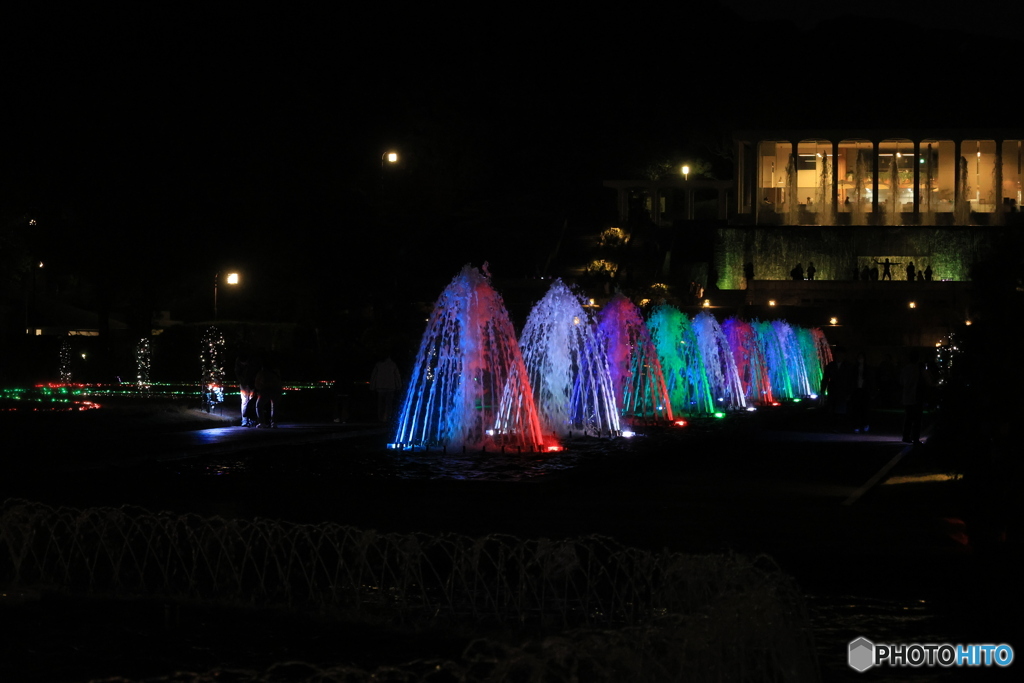 離宮公園ライトアップ7