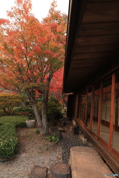 夕刻の離宮公園3