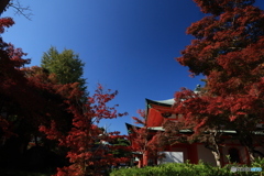 2025四国一人旅5-20