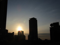 出張前に日光浴