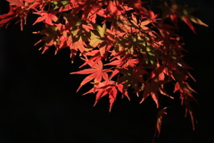 2025四国一人旅5-15