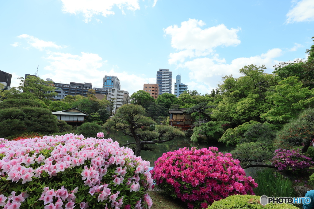 相楽園4