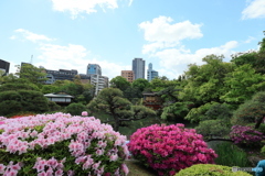相楽園4