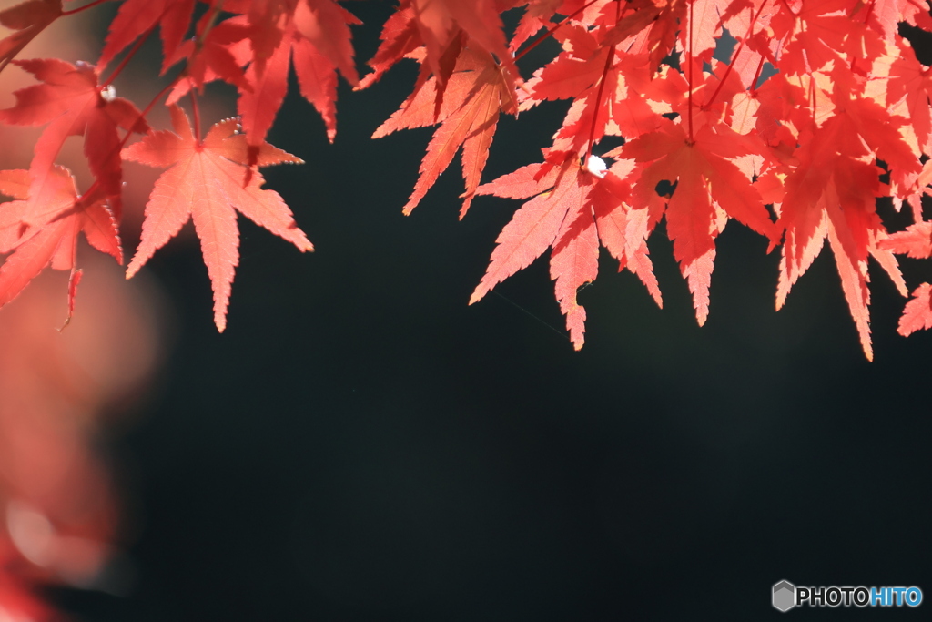 2025四国一人旅5-12