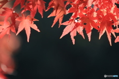 2025四国一人旅5-12