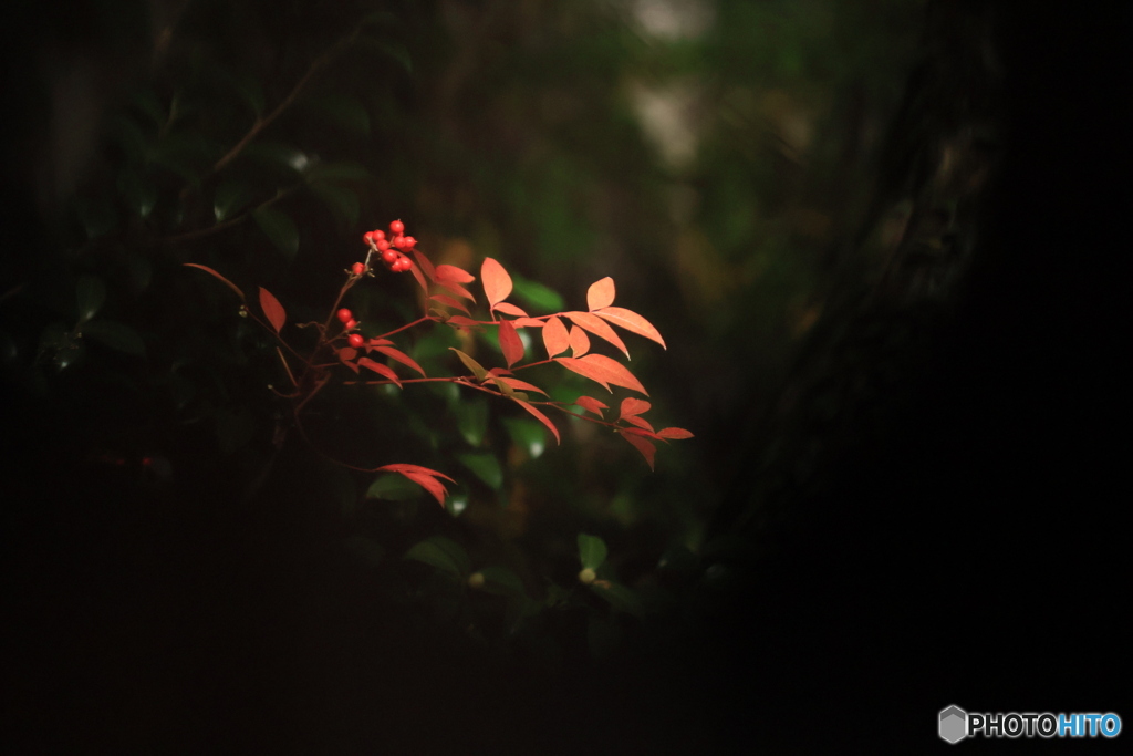 2025四国一人旅4-26