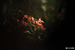 2025四国一人旅4-26