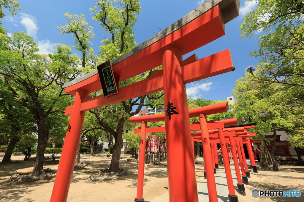 重なる鳥居