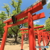重なる鳥居