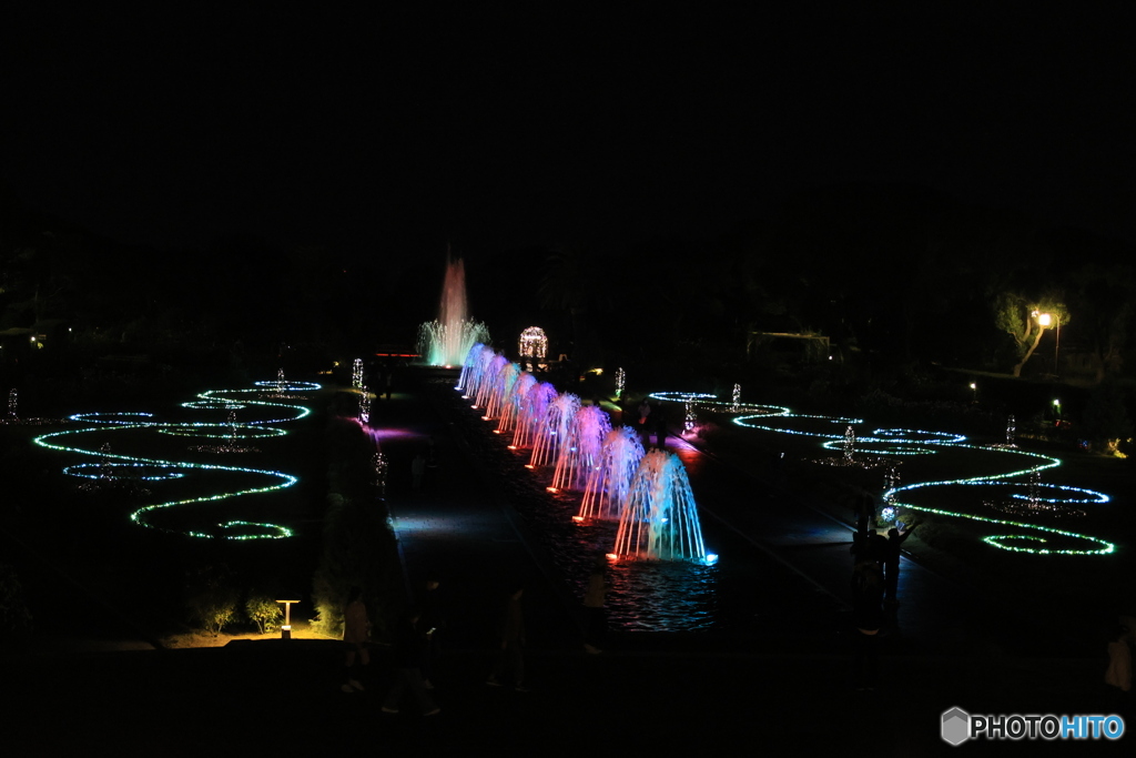 離宮公園ライトアップ11