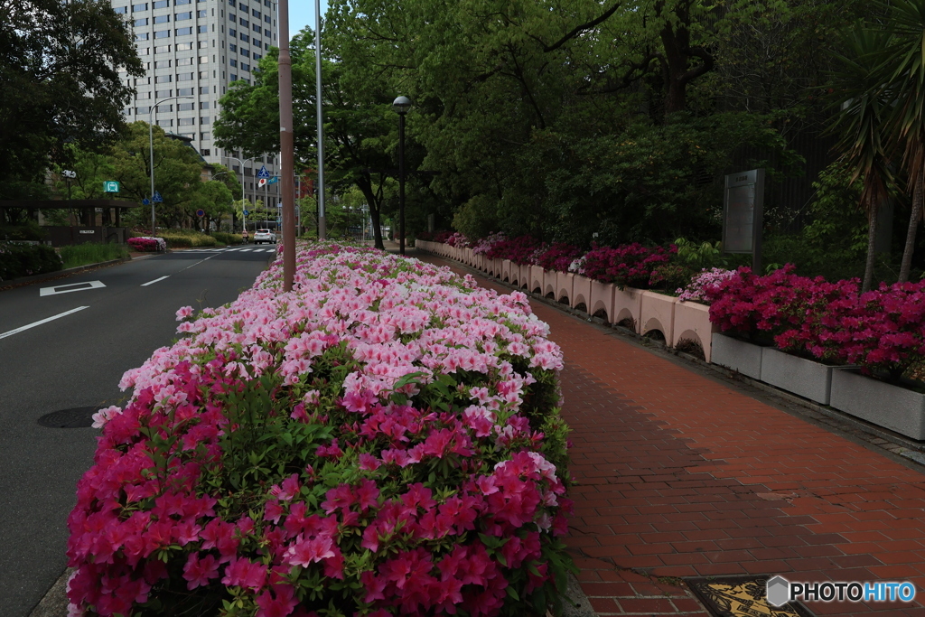 県庁前