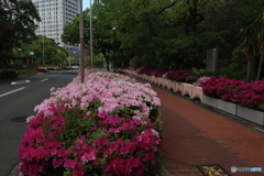 県庁前