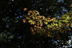 始まる秋