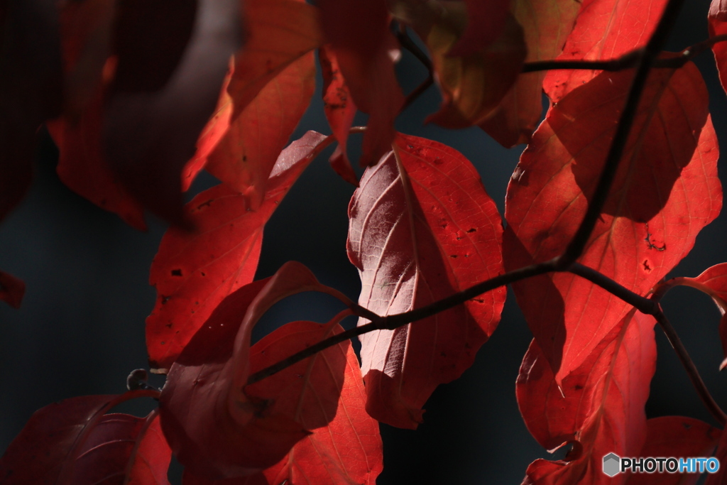 2025四国一人旅4-19