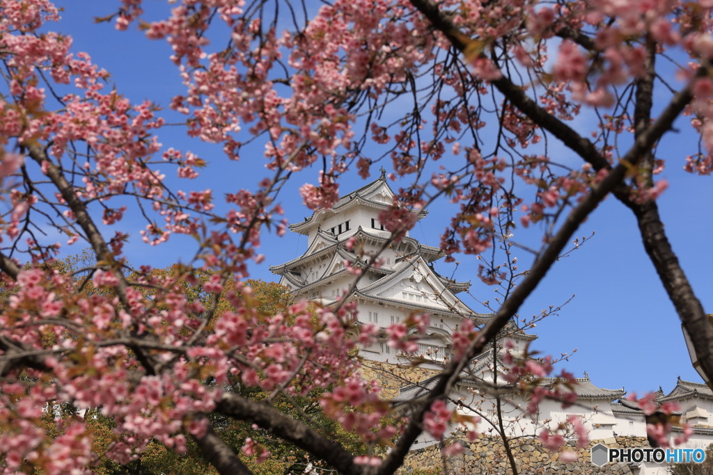 3/31姫路城4