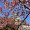 3/31姫路城4